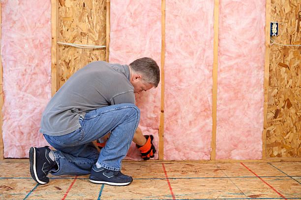 Best Specialized Insulation Services in Concordia, MO